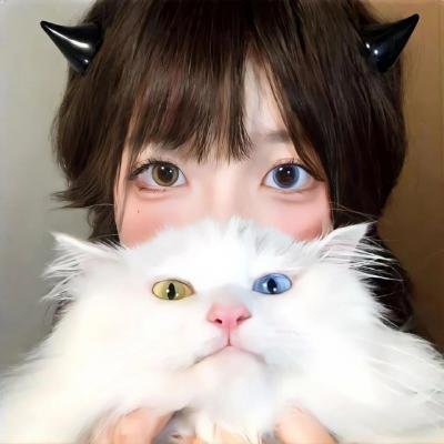 宿敌 第一季